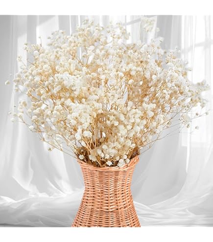 Amazon.com: 2500+ Dried Babys Breath Flowers Bulk - 17